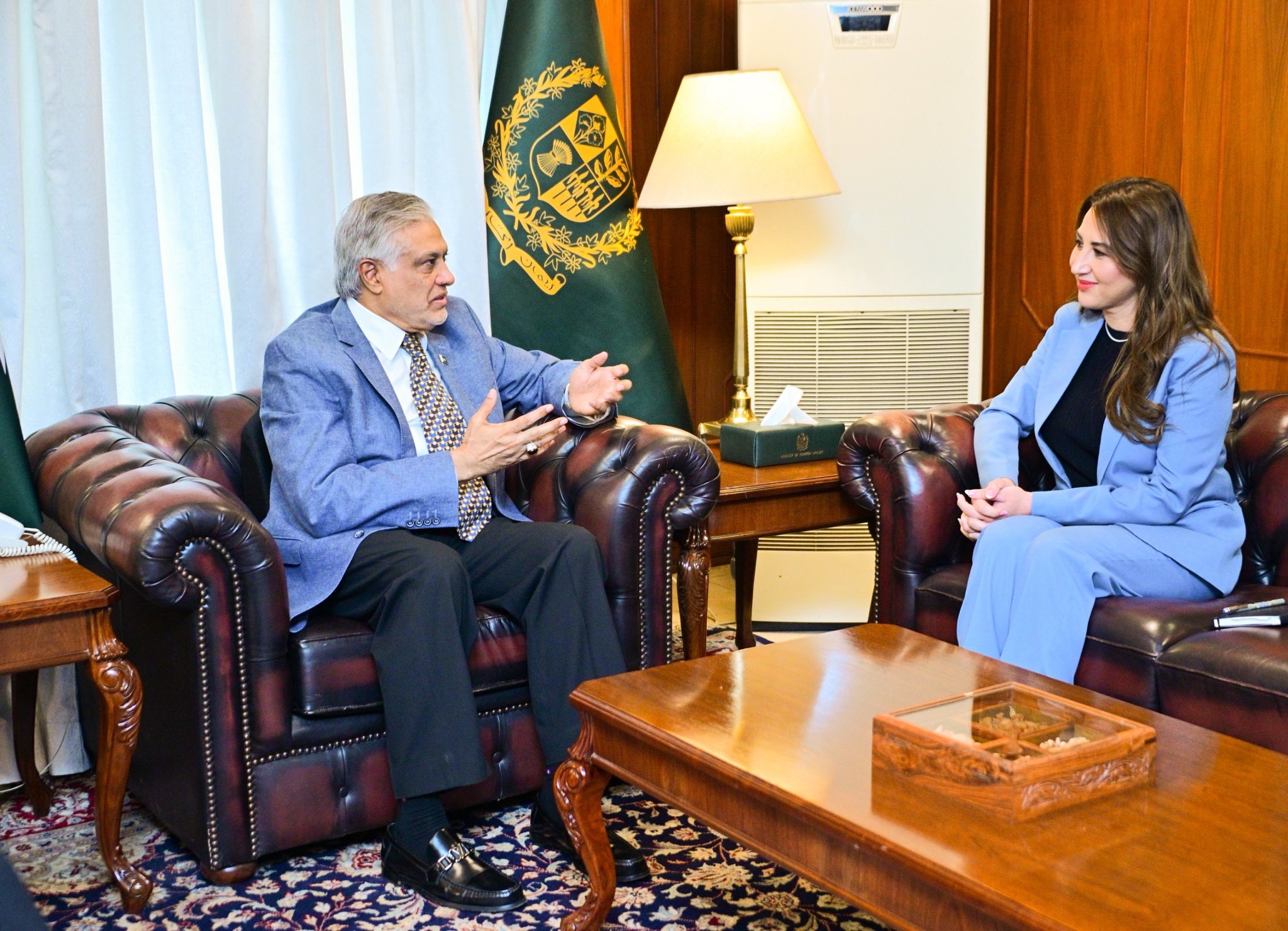 US firms eye Pakistan’s energy, mineral sectors: American diplomat